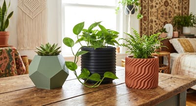 Decorative Planters